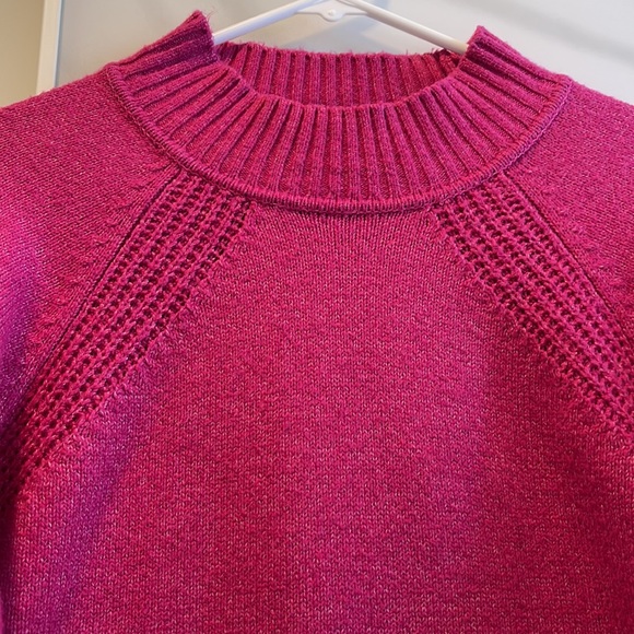 Pink with blue trim around sleeve cuffs Northern Reflection sweater large - Picture 3 of 4
